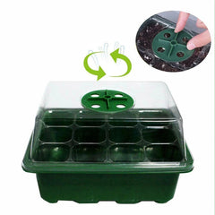 6/12 Holes Plant Seed Grows Box Nursery Seedling Starter Garden Yard Tray Hot Hole for Garden Nursery Seedling Starter