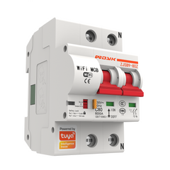 2P WiFi Smart Circuit Breaker Overload Short-circuit Protection Works with Alexa Google Home
