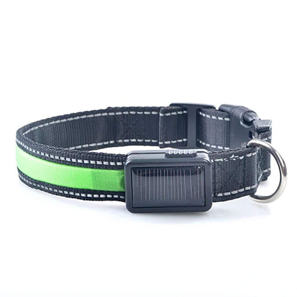 Dog Pet Collar Solar Power USB Charging Electronic LED Flashing Light