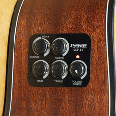 Pickup, Deliver Chorus, Delay and Reverb Sounds Direct from Acoustic Guitar