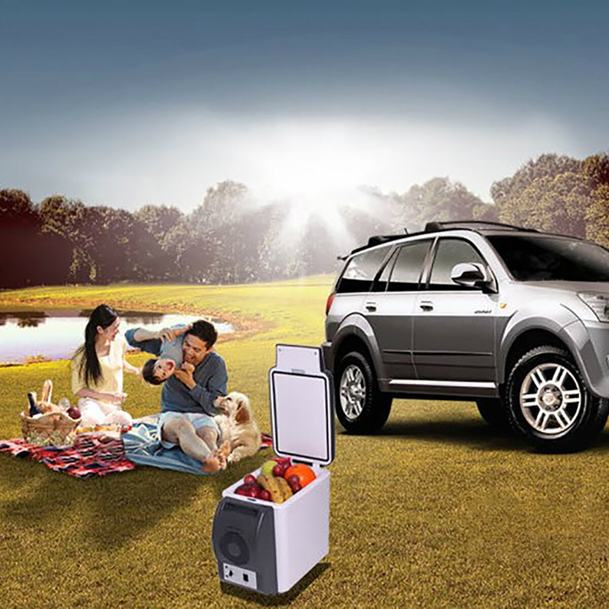 Portable Mini Fridge Refrigerator 6L Cooling Warming Car Camping Travel Caravan