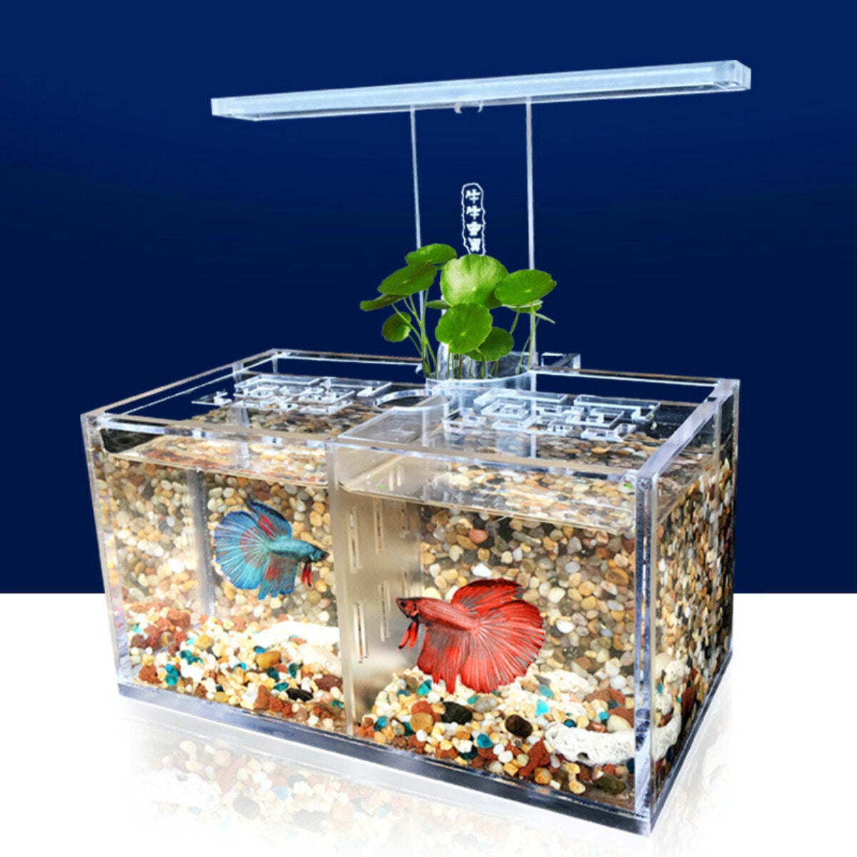 LED Light Acrylic Clear Aquarium Mini Betta Fish Tank Desktop Water Pump