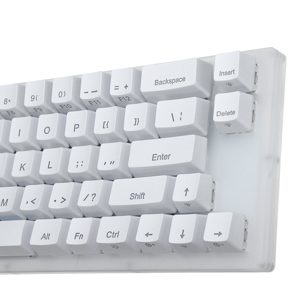 Mechanical Keyboard 66 Keys Gateron Switch Hot Swappable Tyce-C Wired RGB Backlit Gaming Keyboard with Crystalline Base for PC Laptop