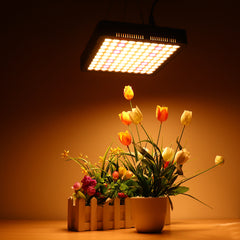 100W 300 LED Grow Light Plant Hydroponics Full Spectrum Vegetable Plant Lamp AC85-265V