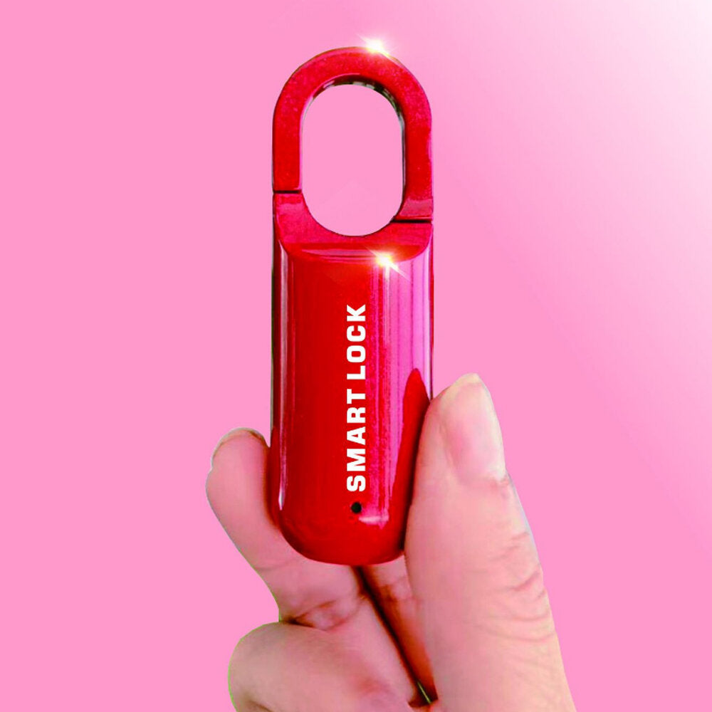 Fingerprint Lock Waterproof Mini USB Rechargeable Door Lock Quick Unlock Zinc Alloy Anti-theft Loc