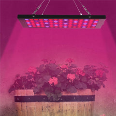 10W 75 LED Aluminum Grow Light for Plant Vegetable Indoor Hydroponic AC85-265V