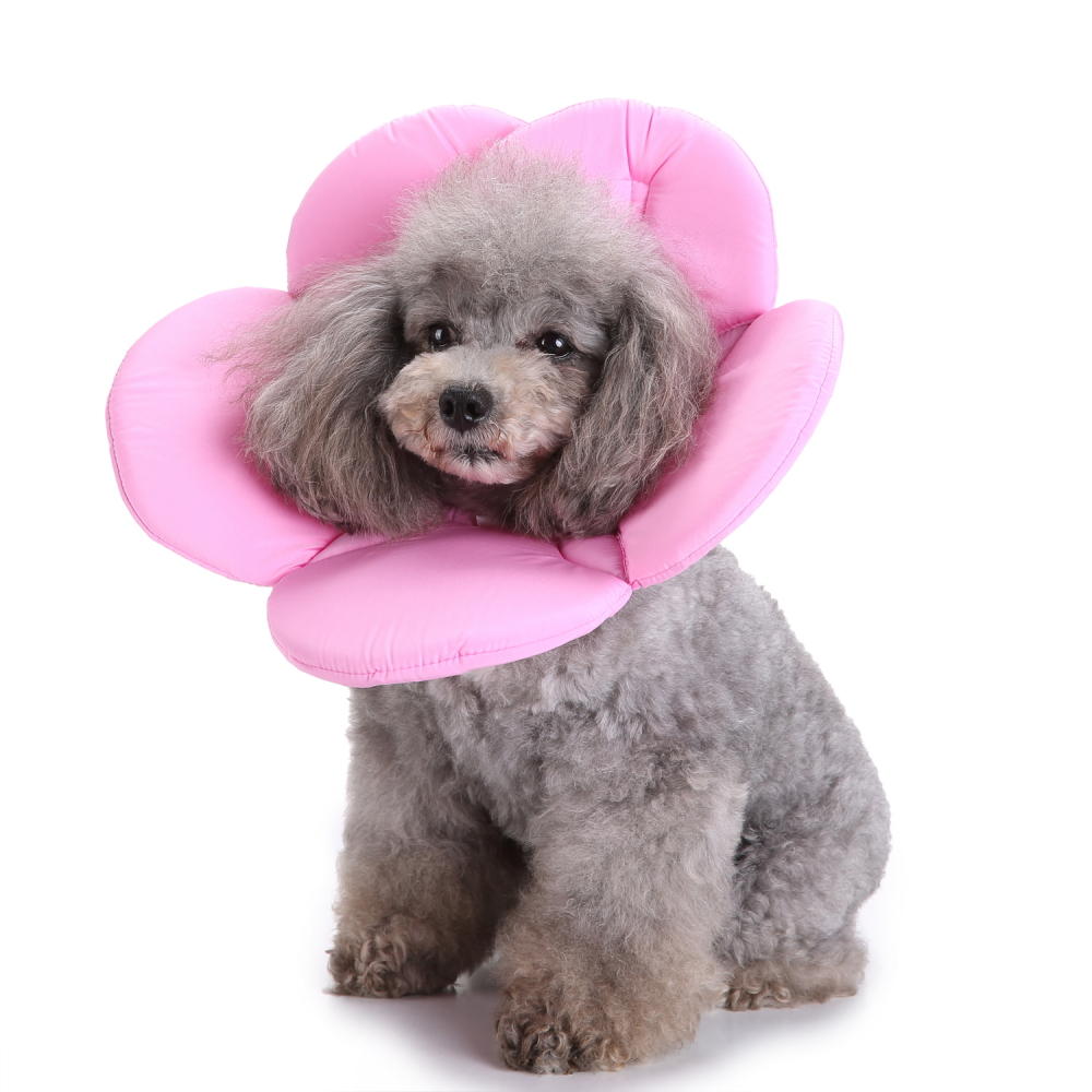 Soft Sponge Flower Shape Dog Cat Circle Wound Collar Healing Anti-Bite