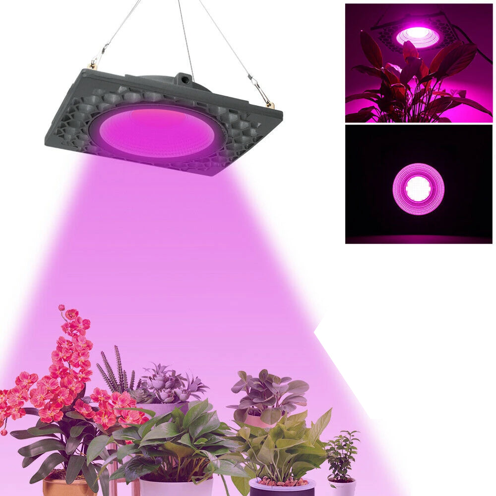 1000W Full Spectrum LED Grow Light Veg Seed Greenhouse Plant Lamp Super Cooling