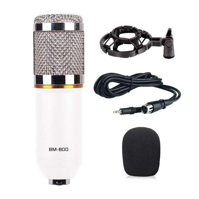 Professional Condenser Microphone Studio Broadcasting Singing Audio Recording Mic