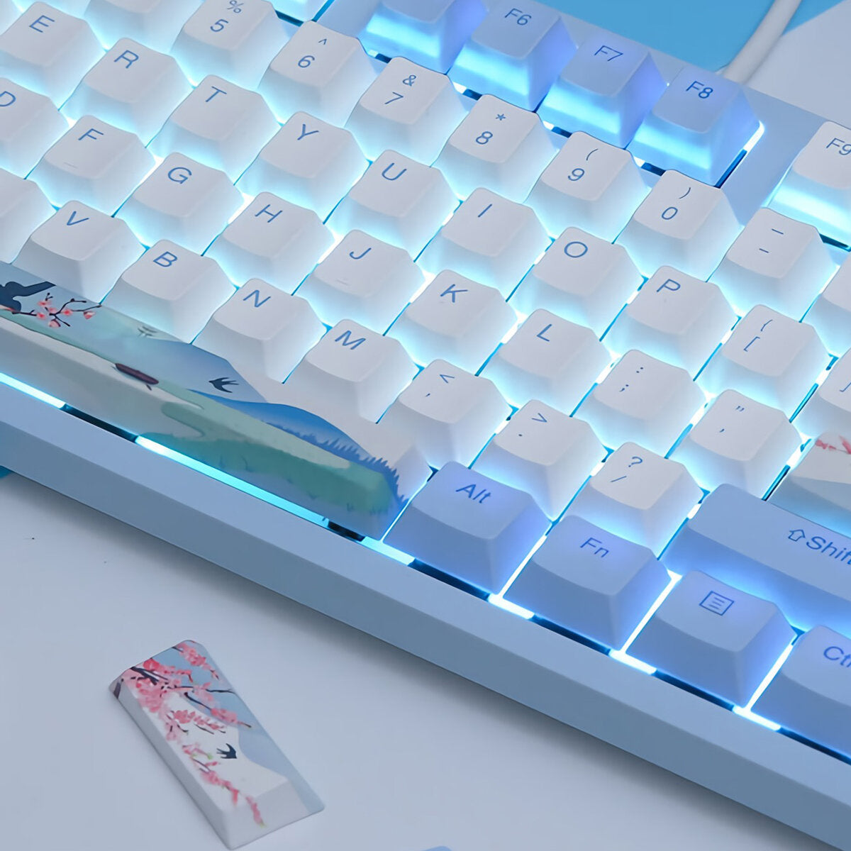 Mechanical Keyboard Swallow Theme Wired Ice Blue Backlight 87 Keys Cherry MX Switch Blue PBT Keycaps Gaming Keyboard