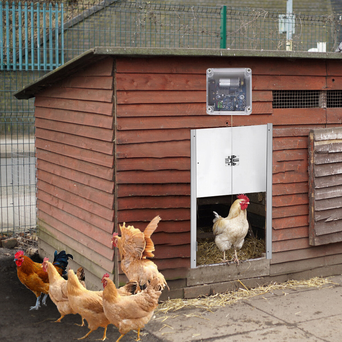 Automatic Chicken Door Opener Kits W/Time Sensor Induction 12'' Wide