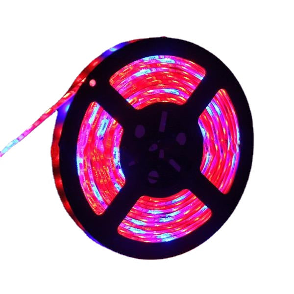 5M 3:1/4:1/5:1 Red:Blue 5050SMD 300LED Non-waterproof Hydroponic Plant Grow Strip Light DC12V