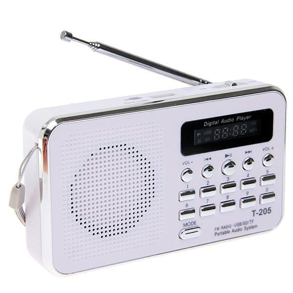 Portable Camping Hiking Outdoor Sport Hi-Fi Speaker Digital Multimedia Loudspeaker FM Radio