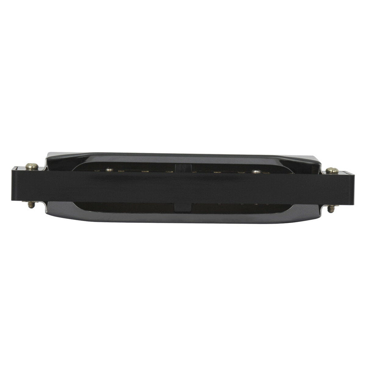 Professional 10 Holes 20 Note Key of C Harmonica Mouth Organ w/ Case