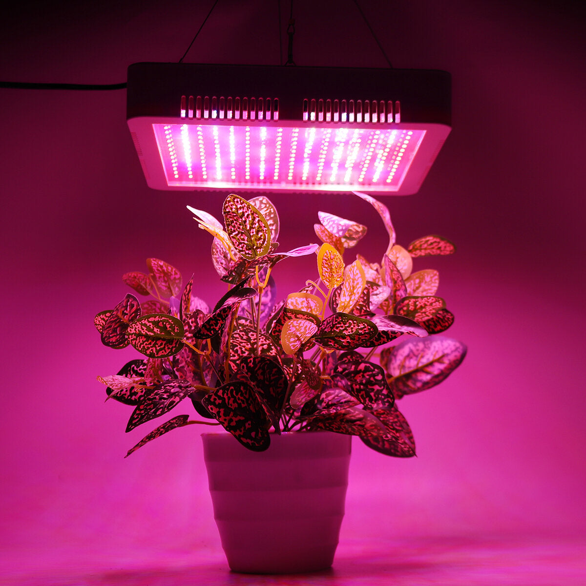 240 LEDs Plant Grow Light Veg Bloom Lamp Indoor Greenhouse Garden Full Spectrum Plant Growth Light