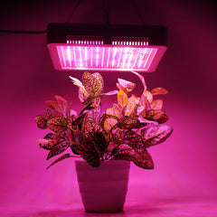 240 LEDs Plant Grow Light Veg Bloom Lamp Indoor Greenhouse Garden Full Spectrum Plant Growth Light