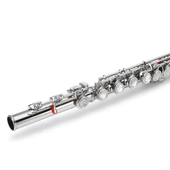 16 Holes C Key Colored Flute Nickel Plated Silver Tube Woodwind Instrument with Box