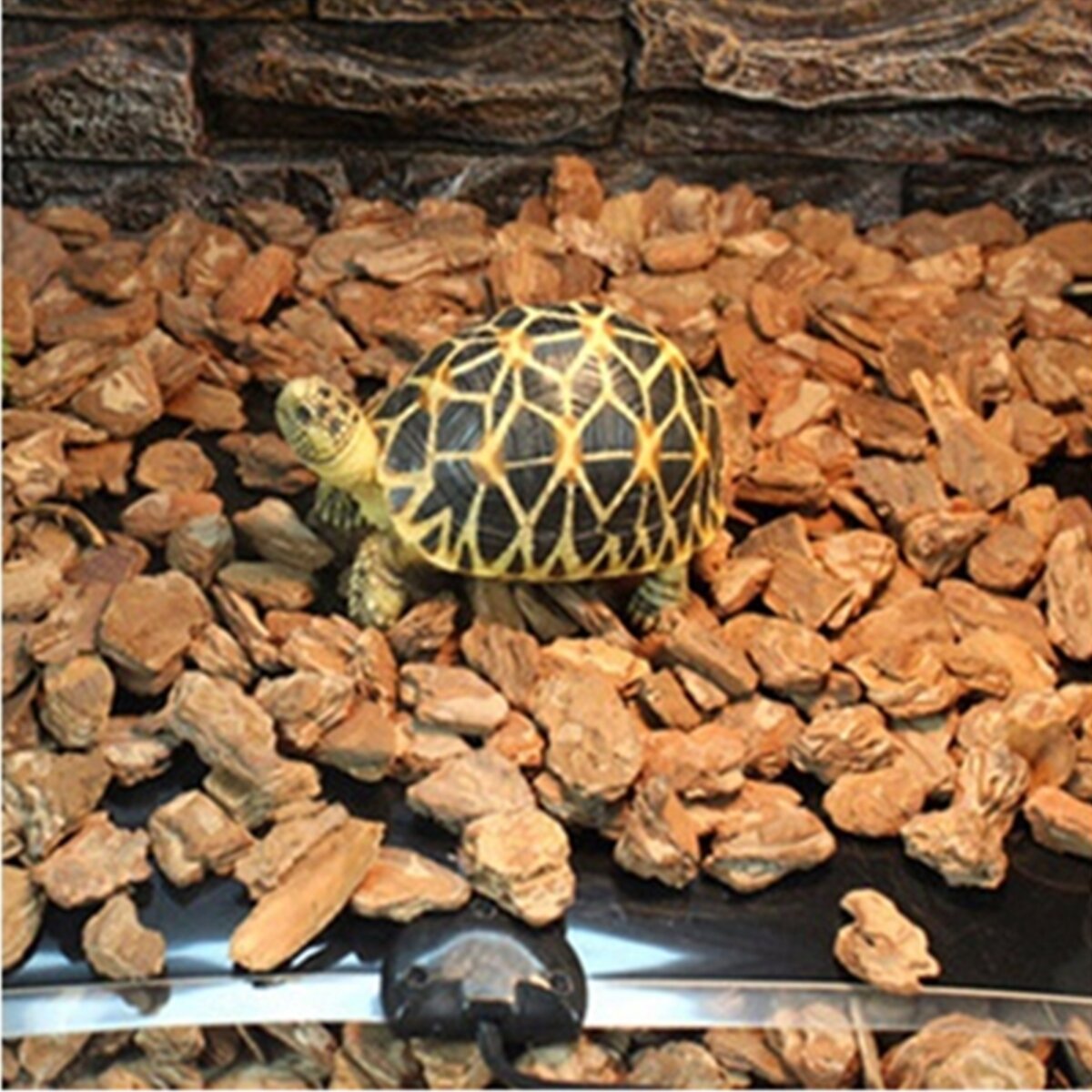 220V Reptile Pet Vivarium Heater Brooder Incubator Heat Mat Heating Pad Terrarium Floor Foil Reptiles