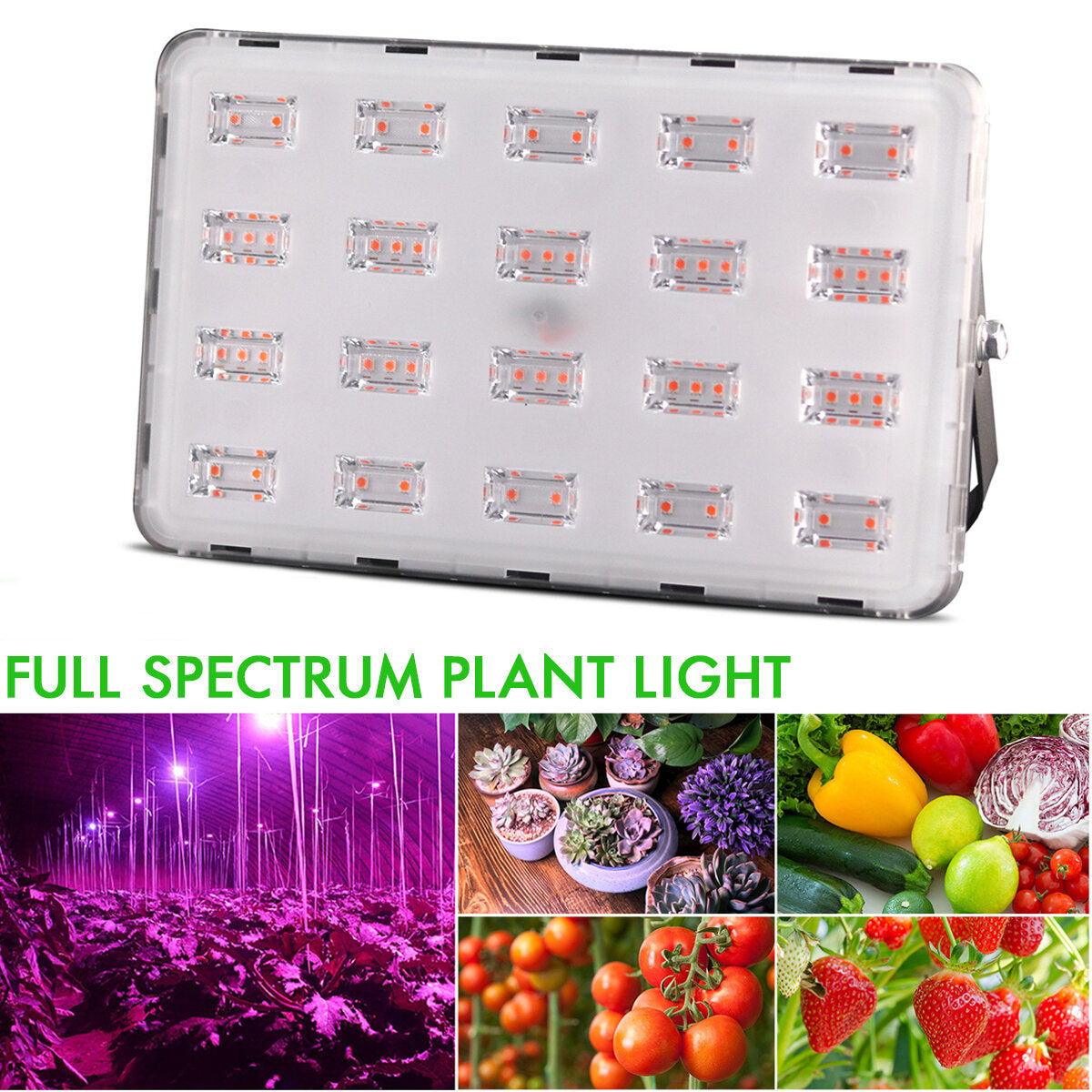 500W 100W LED Grow Light Hydroponic Full Spectrum Flower Bloom Indoor Outdoor Seeds Planting Lamp AC220V