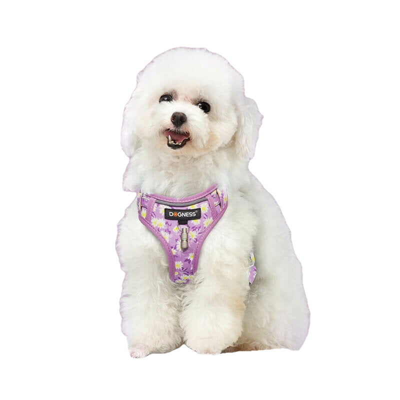 Harness and Leash Sets Adjustable Lengths Reflective Design Breathable Mesh Dog Collar for Small Pets