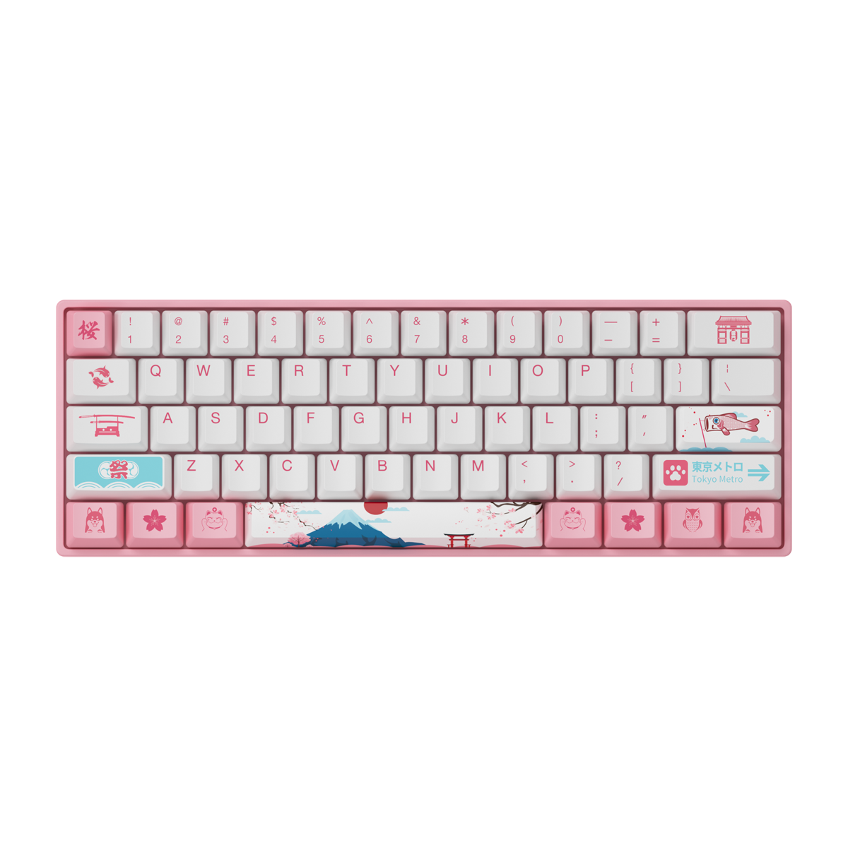 Mechanical Keyboard 61 Keys Wired Hot Swappable Gateron Prelubricate Switch RGB Cherry Profile PBT Keycaps Gaming Keyboard