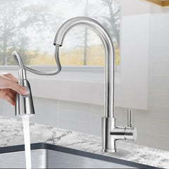 Kitchen Sink Faucet Pull Out Sprayer Head Two Water Spray Mode Stainless Steel Mixer Tap