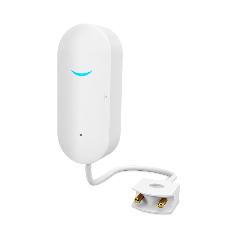 Smart APP Wifi Smart Water Leakage Alarm Smart Home Mobile Phone Remote Sensor