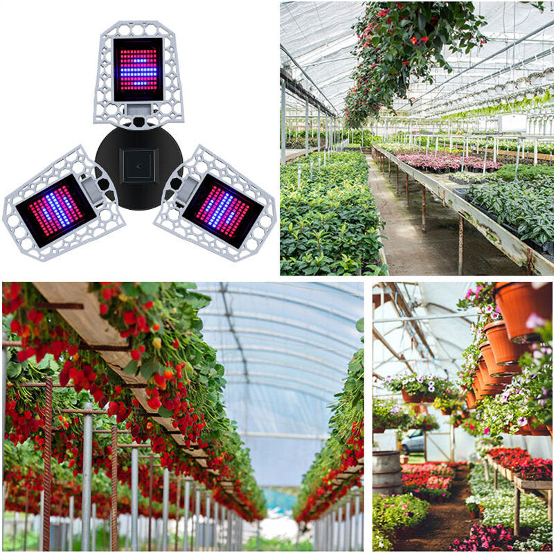 216/297 LED Grow Light Foldable Red and Blue Light for Nursery Supplement Light E27 Waterproof Plant Growth Light
