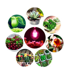 E27 6W A60 Non-Dimmable COB LED Plant Grow Light Bulb for Hydroponics Greenhouse AC85-265V