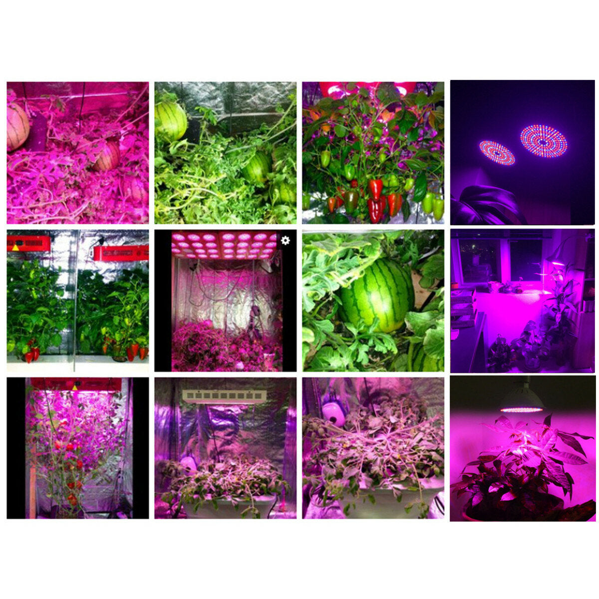 E27 290LED Plant Grow Light Full Spectrum Glowth Lamp Set for Flower Seeds Indoor Greenhouse AC85-265V