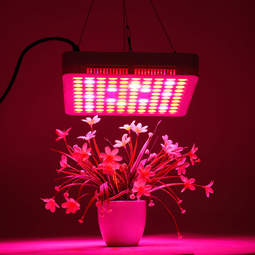 AC85-265V 300W 2 Kinds Spectrum LED Grow Light Cooler Fan Growing Lamp for Indoor Hydroponic Plant