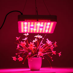 AC85-265V 300W 2 Kinds Spectrum LED Grow Light Cooler Fan Growing Lamp for Indoor Hydroponic Plant