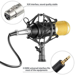 Professional Condenser Microphone Studio Broadcasting Singing Audio Recording Mic