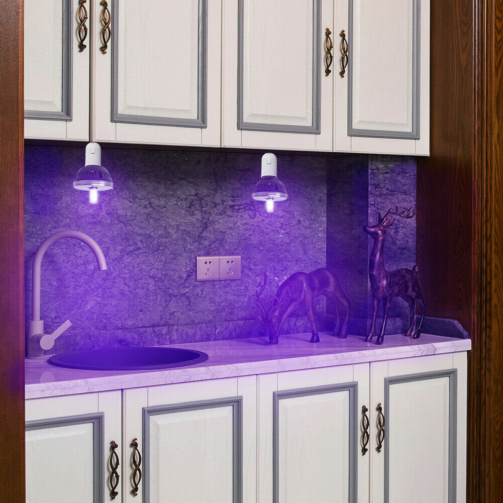 UVC UV Lamp Ultraviolet Light Bulb 3W 110/220V Blacklight