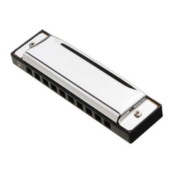 C Key 10 Holes Harmonica Blues Harp Stainless Steel Cover Plate with Plastic Box