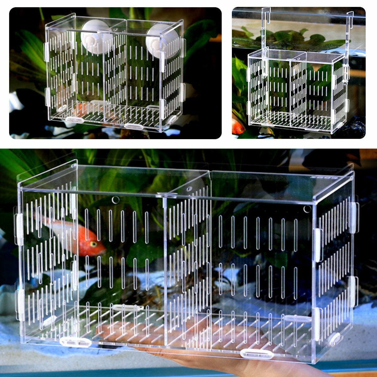 Large Aquarium Acrylic box isolation Incubator Breeding Fish Tank Breeder Hatching