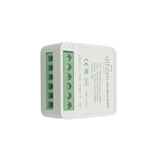 Mini Dual-control WIFi Smart Relay Switch Works with Home Assistant