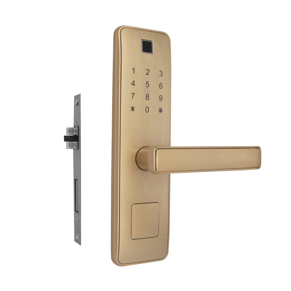 Bio-metric Fingerprint Intelligent Lock No Wiring Waterproof Security Smart Card Digital Code Electronic Door Lock For Home Security Mortise Lock
