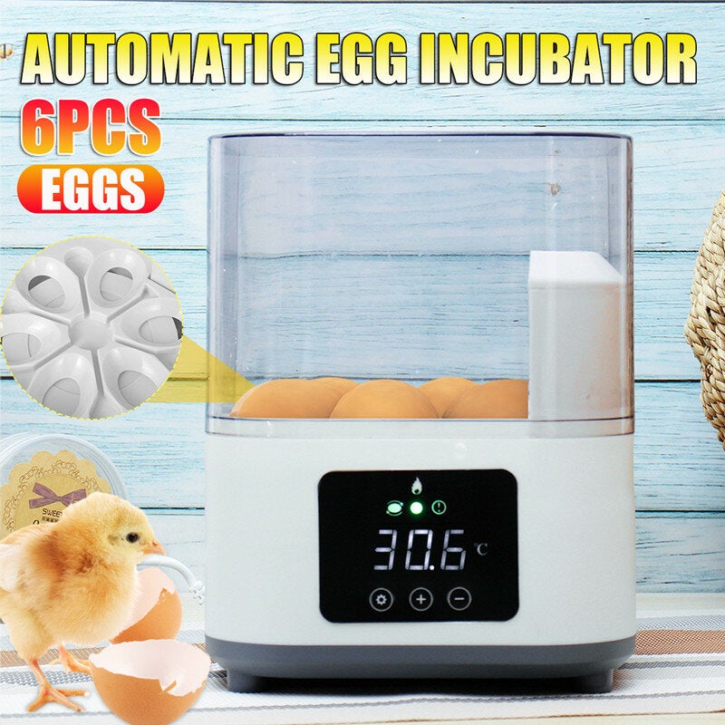 Automatic Household Egg Incubator Heat-preservation Air Current Circulation ABS/PC