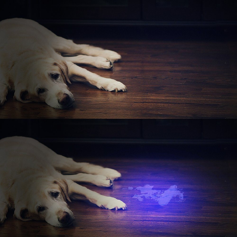 21LEDs 400nm Violet UV LED Flashlight Fluorescence Sterilization Banknote Detection Pen