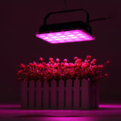 500W 100W LED Grow Light Hydroponic Full Spectrum Flower Bloom Indoor Outdoor Seeds Planting Lamp AC220V