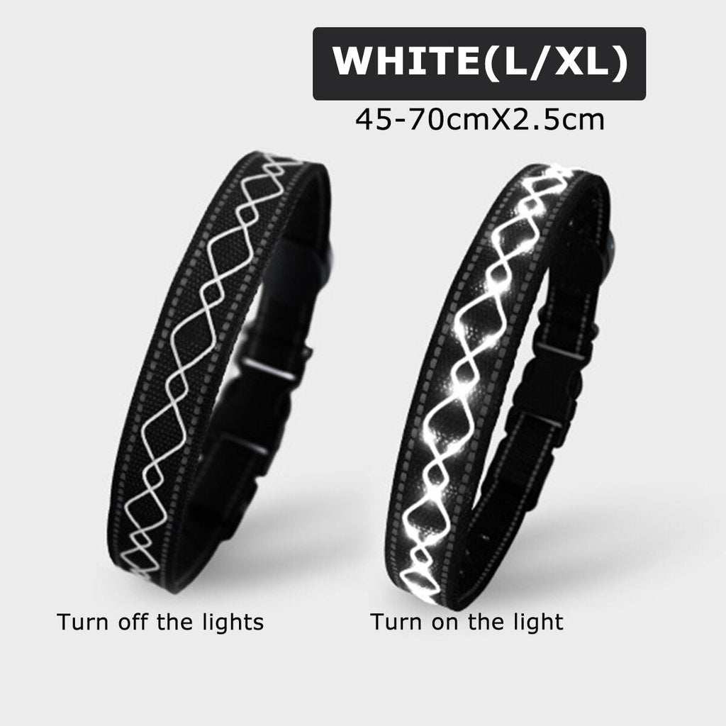 LED Dog Pet Collar Flashing Luminous Safety Night Light Flashing Adjustable