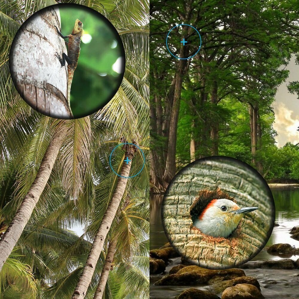 16x52 Monocular Focus Dual Optics Zoom Telescope Day Night Vision For Birds Wildlife,Hunting,Camping ,Hiking,Tourism