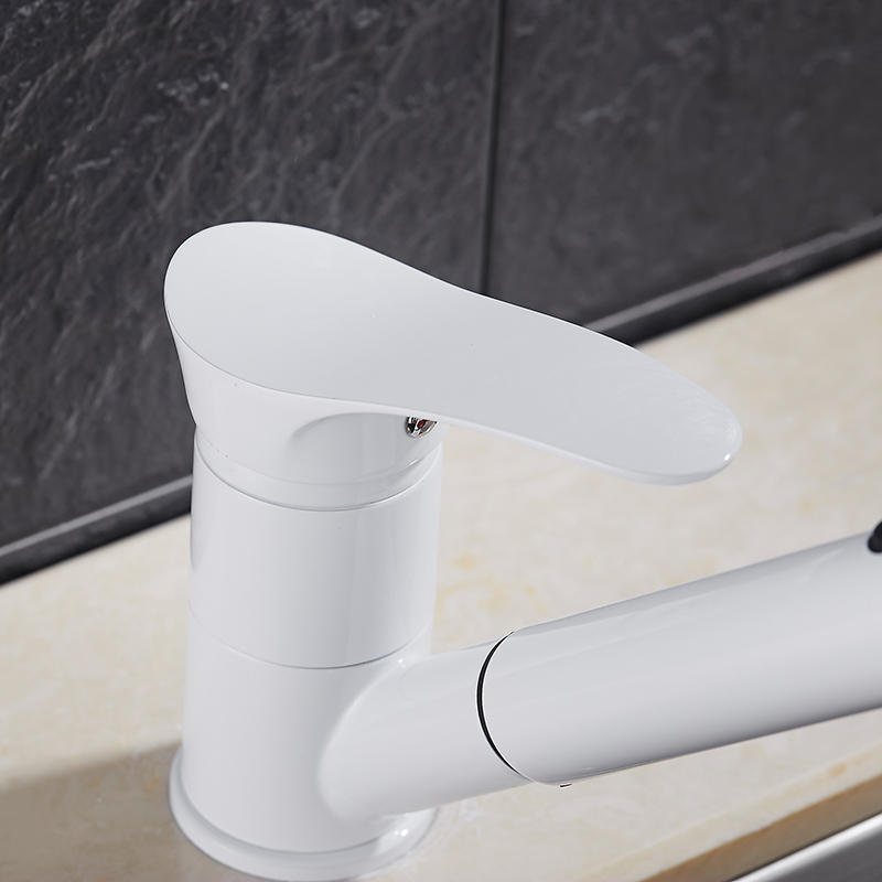 Pull Out Kitchen Faucet Water-Saving Polished Basin Mixer Brass Hot and Cold Tap