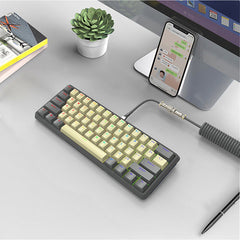 DIY 61 Key Gaming Mechanical Keyboard With Hot swappable OEM RGB Lighting Effect Coiled Cable Mini Wired Keyboard