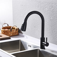 Stainless Steel Kitchen Sink Faucet with Pull Out Sprayer High-Arc Single Handle