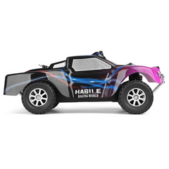 1/18 2.4G 4WD RC Car Electric Short Course Vehicle RTR Model