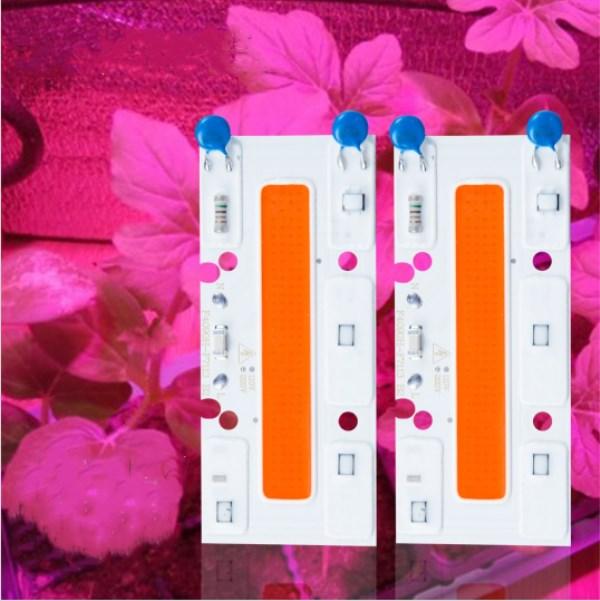 30W/50W/70W High Power Full Spectrum LED Grow COB Light Chip for Plants Vegetable AC110V/AC220V
