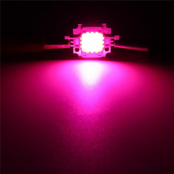 30W Full Spectrum LED COB Chip Plant Grow Light AC220/110V