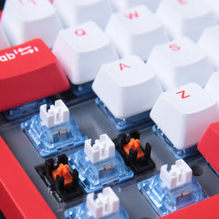 Mechanical Keyboard 97 Keys Triple Mode Connection 100% Hot Swappable RGB LED Backlit PBT Keycaps Gasket Structure Gaming Keyboard with Sky V3 Switch